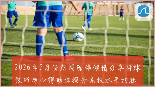 2026年3月份新闻陈伟倾情分享排球技巧与心得助你提升竞技水平的独家秘籍