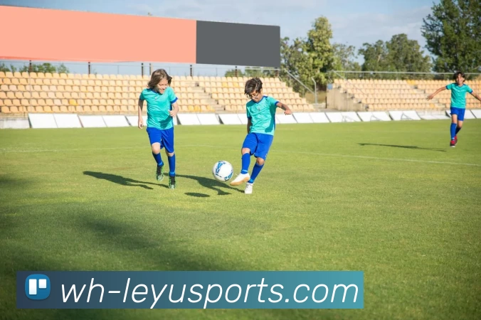 乐鱼平台生态图